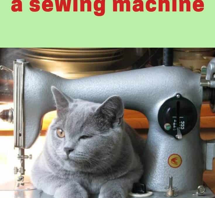 Sewing Basics # 3: How to Use a Sewing Machine