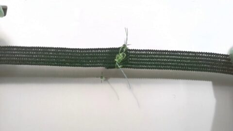 The Ultimate Guide to Stretch Needles