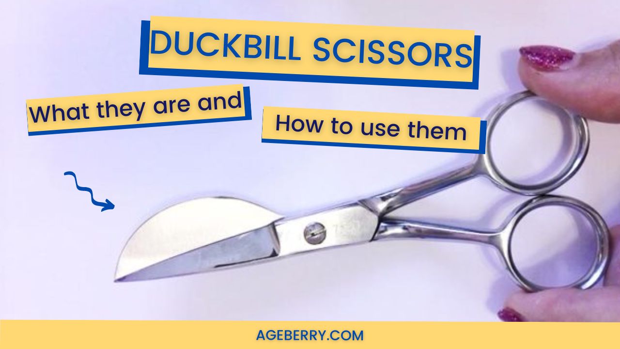 Madeira Applique Scissors / Duck Bill scissors