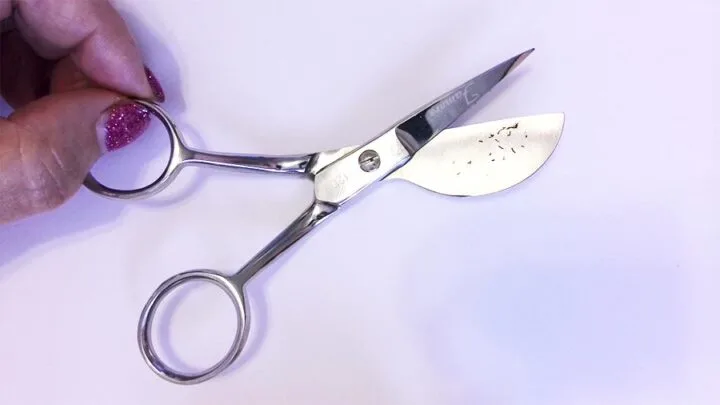 I Don't Like My Duck Billed Scissors