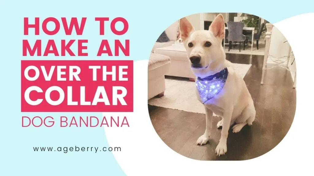 How To Make An Over The Collar Dog Bandana