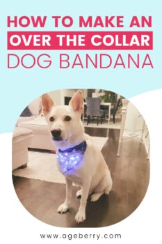 How To Make An Over The Collar Dog Bandana
