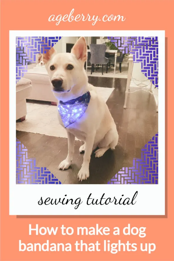 How To Make An Over The Collar Dog Bandana | Free Pattern And Tutorial