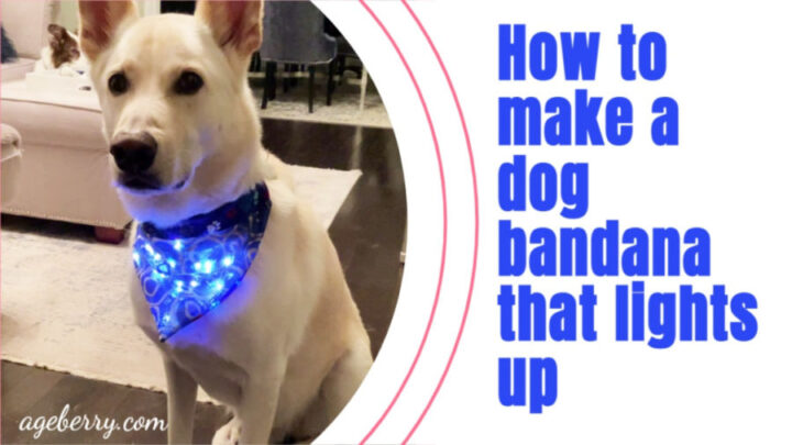 over the collar dog bandana pattern and tutorial