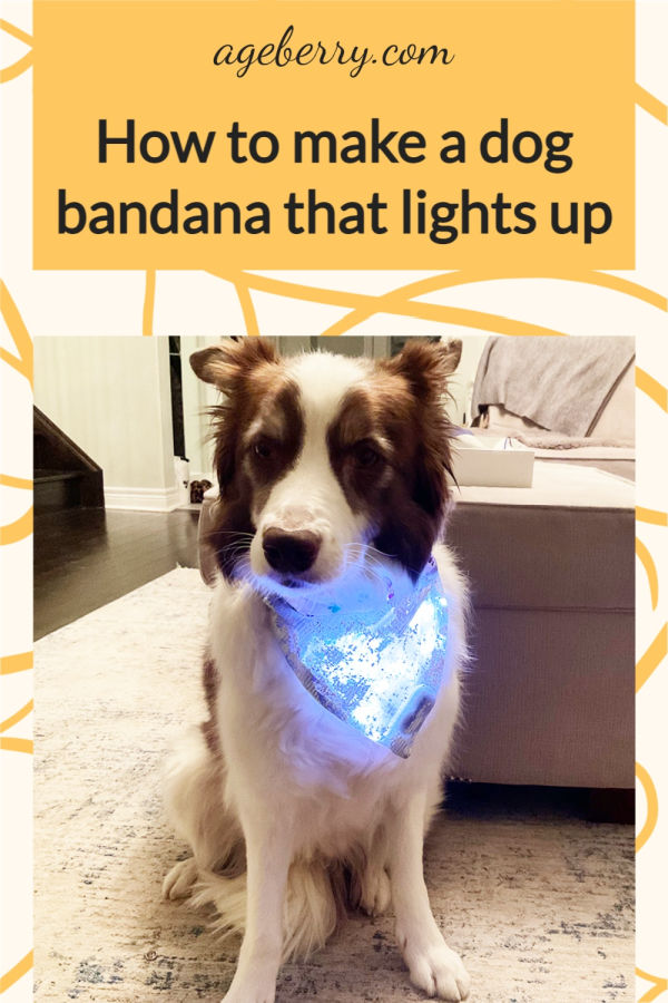 over the collar dog bandana medium size with lights inside