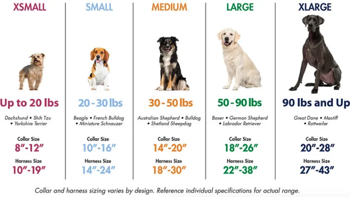 size chart for dog collars