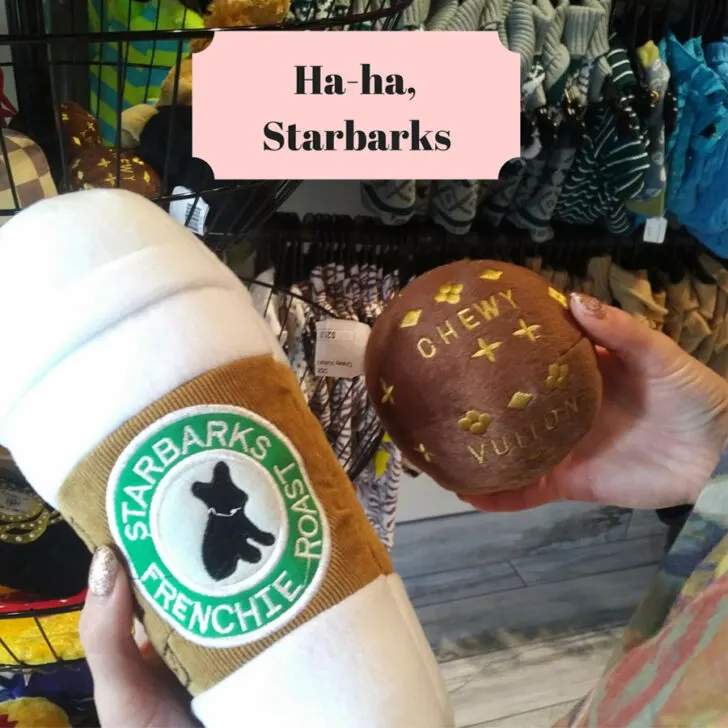 starbarks