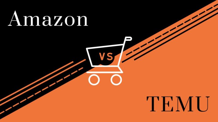 Deciding between Amazon And Temu
