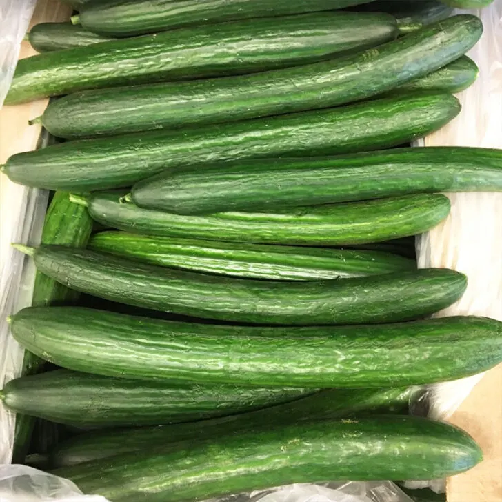 English Cucumbers