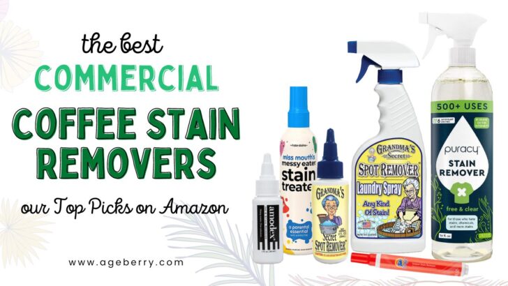The Best Commercial Coffee Stain Removers_ Our Top Picks on Amazon
