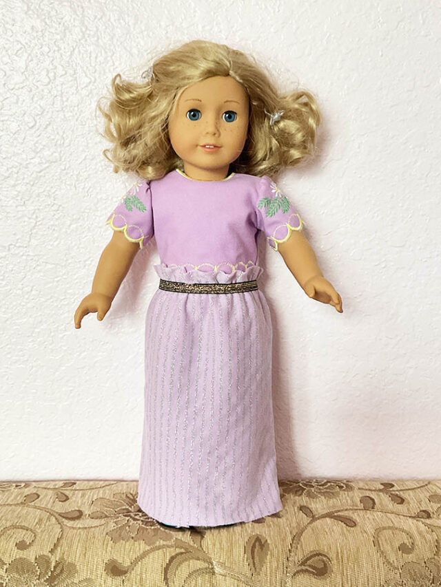 The Presser Foot Nobody Knows How To Use The Elastic Foot