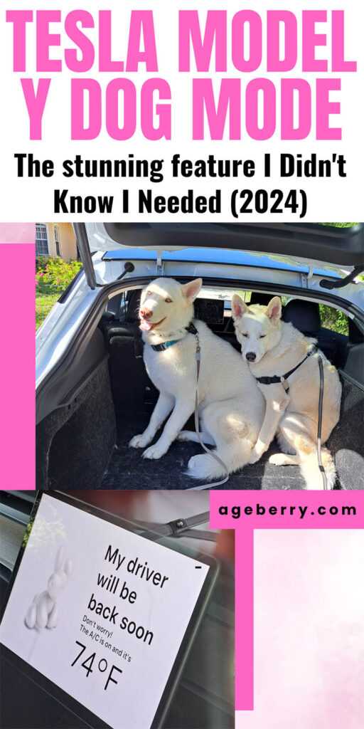 Tesla Model Y dog mode - The stunning feature I Didn't Know I Needed (2024)