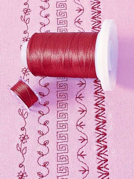 Close-up image showcasing intricate decorative stitches created with vibrant thread.