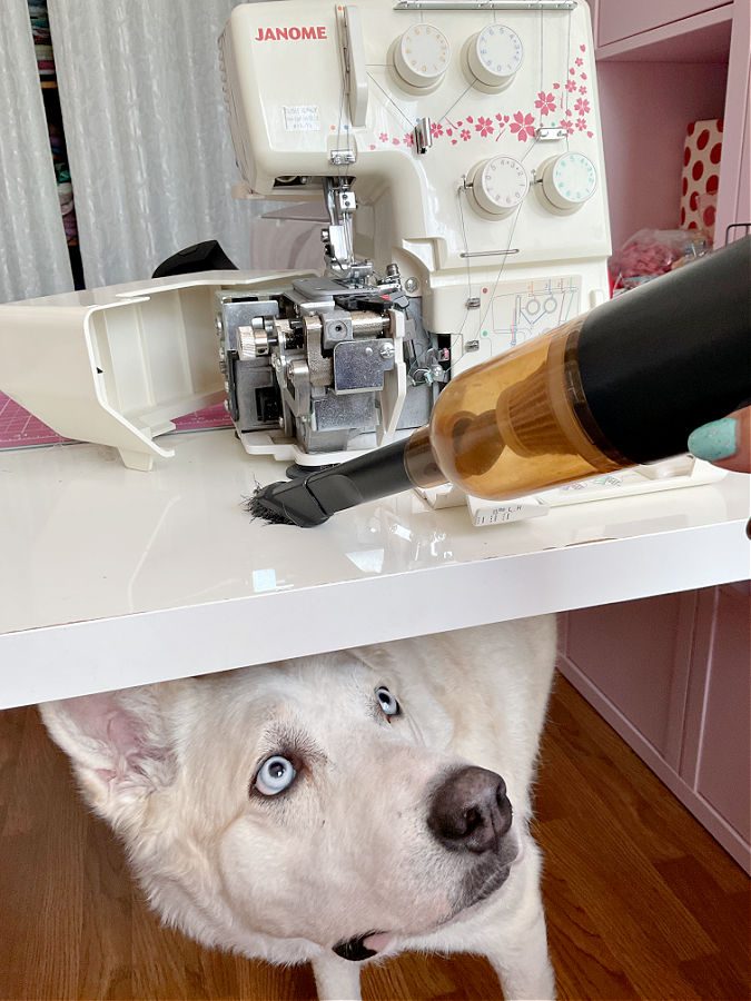 a mini vacuum being used to vacuum a janome serger a dog looks at the mini vacuum from under the table