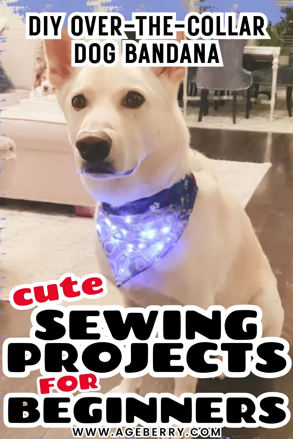 Learn how to make an over-the-collar dog bandana with this cute sewing project for beginners. The image shows a white dog wearing a blue DIY dog bandana that slides over the collar, decorated with small LED lights for a fun effect. This beginner-friendly sewing tutorial teaches how to sew an easy dog bandana that stays in place, uses simple straight seams, and works well with cotton fabric scraps. Great project for practicing basic sewing skills while making something practical and adorable for pets.