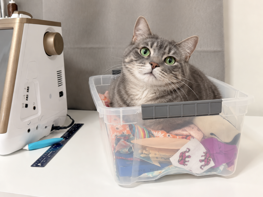 a cat sitting in a box with sewing implements a sewing machine at the left of the image